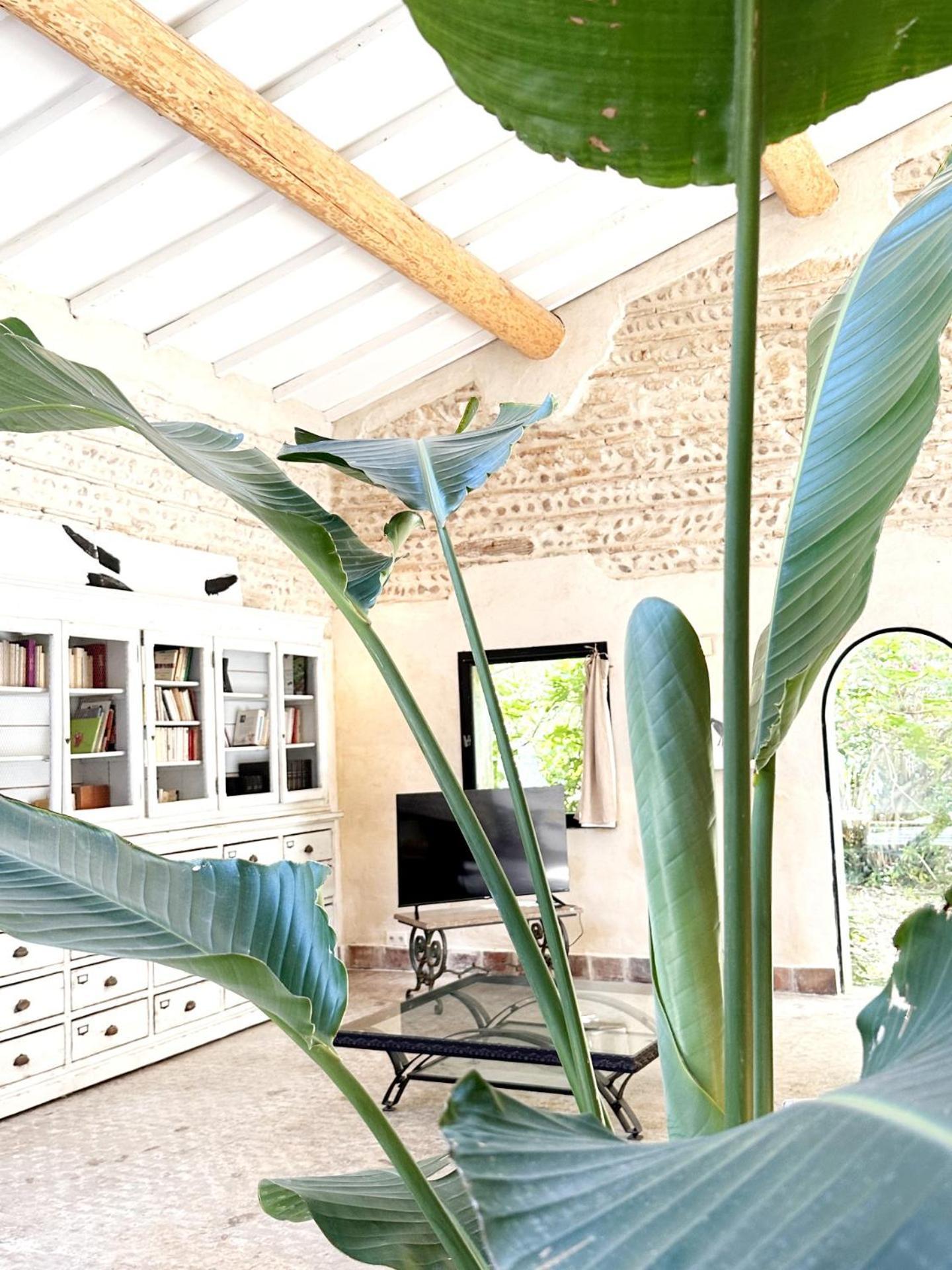 Magnifique Loft - Piscine - Tennis - Babyfoot Nîmes Exteriér fotografie